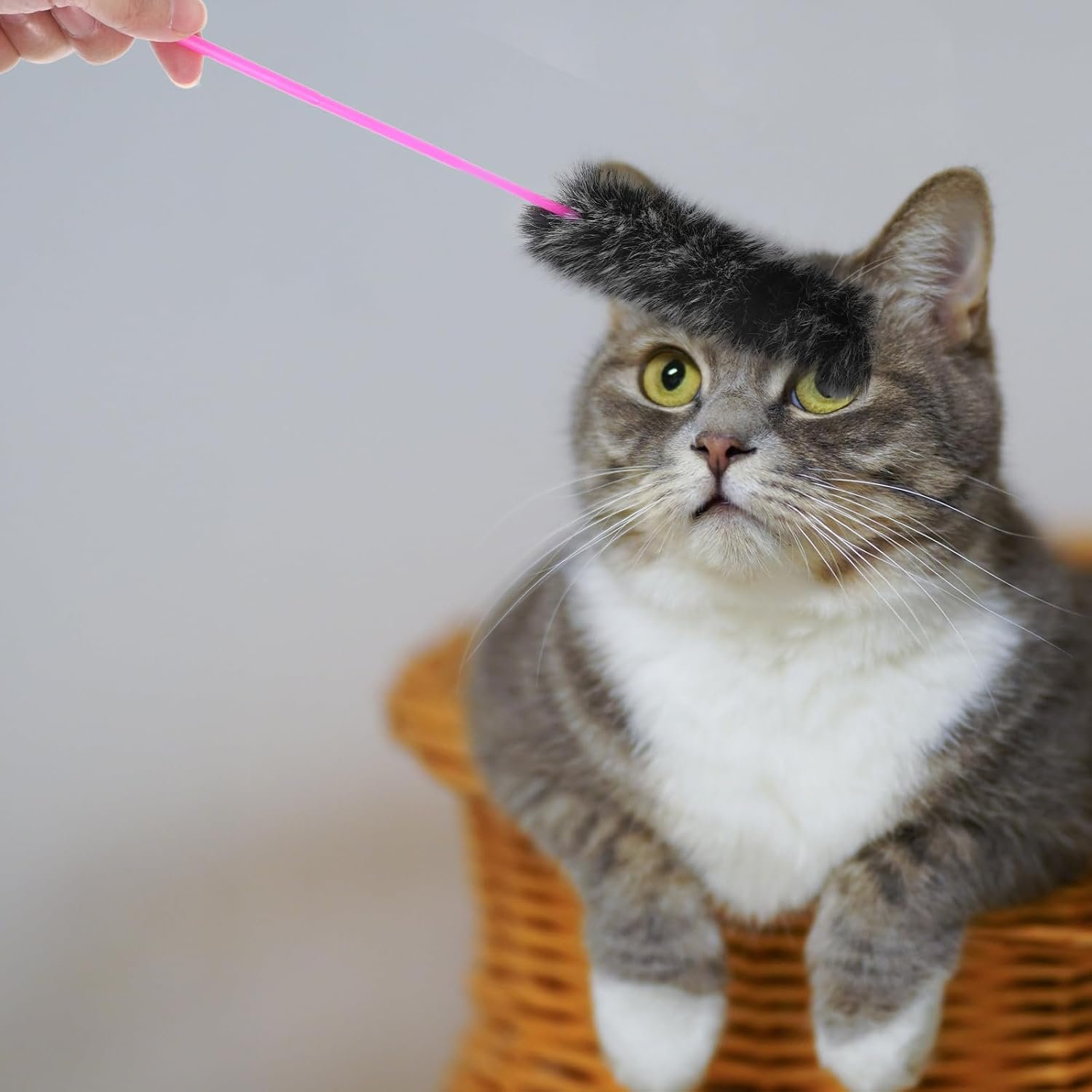 5 Pcs String Plush Cat Teaser Wand - Interactive Kitten Training and Workout Toy - Funny Stick for Cats (Random Color) - Image 2