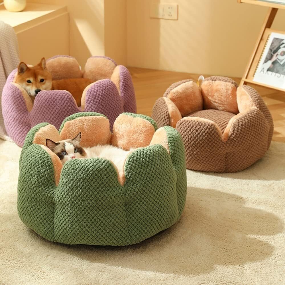 Cactus Shape Comfy Pet Bed - Pet Cactus Petal Nest, Summer Breathable Fluffy Thickened Cat Nest, Washable Fluffy Faux Fur Dog Cat Bed (23.62 in, Coffee Color) - Image 2